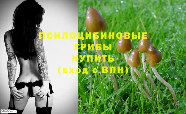 хмурый Балабаново