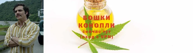 бошки Аркадак