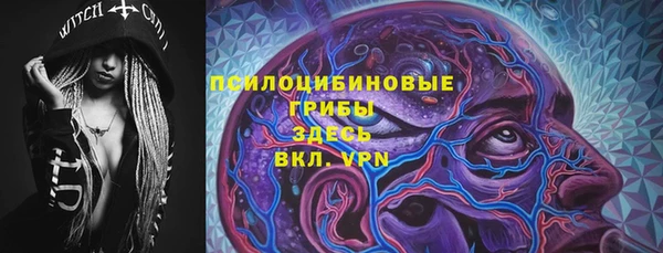 мяу мяу мука Арсеньев